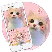 Lindo teclado rosado del gato on 9Apps