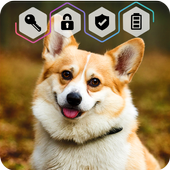 Corgi Dog Puppy Cute HD Wallpaper App Screen Lock icon