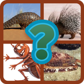 GAME TEBAK GAMBAR иконка