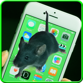 Rat Run In Your Phone Prank أيقونة