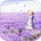 Lavender on 9Apps