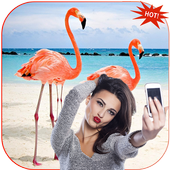 Flamingo Photo Editor icon