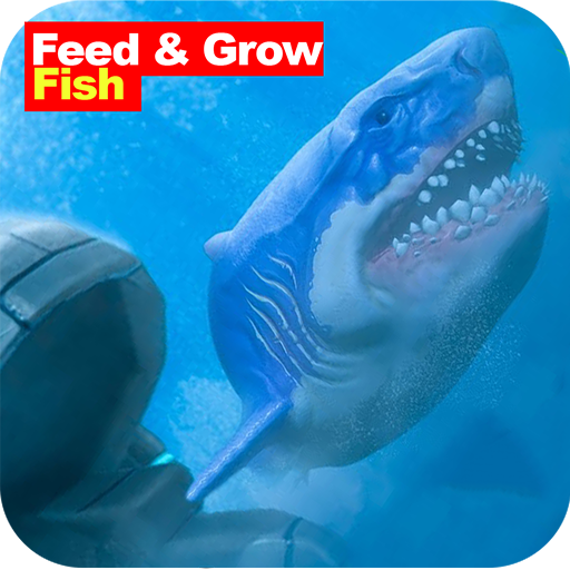 Advice : feed and grow fish icon