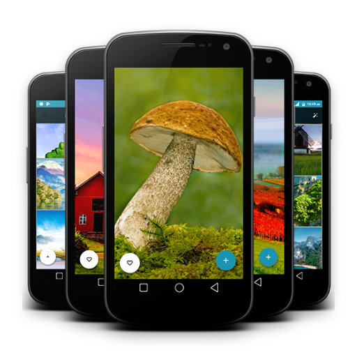 Nature Wallpaper - Green nature hd wallpaper icon