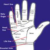 Palmistry on 9Apps