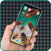 Cockroach  on Screen Prank icon