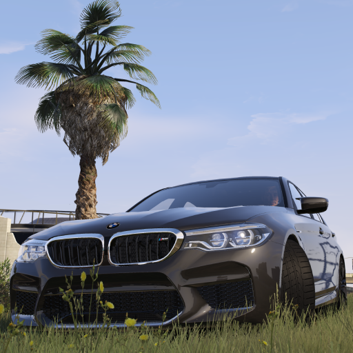 Realistic Simulator BMW M5 Car icon