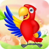 Real Talking Parrot : Talking Birds icon