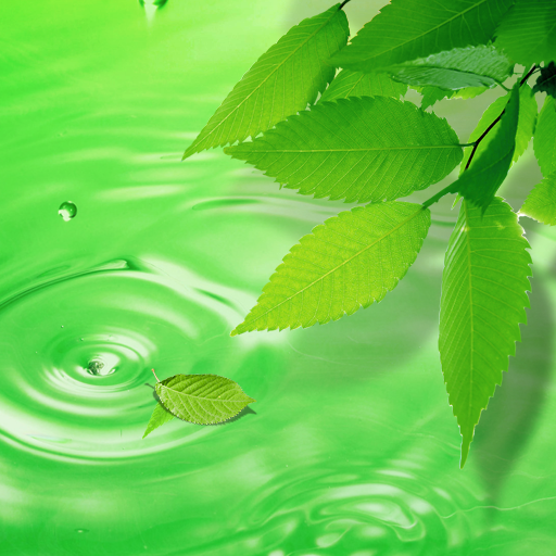 3D Leaves Live Wallpaper icon