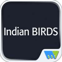 Indian BIRDS