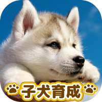 子犬のかわいい育成ゲーム - 完全無料の可愛い犬育成アプリ