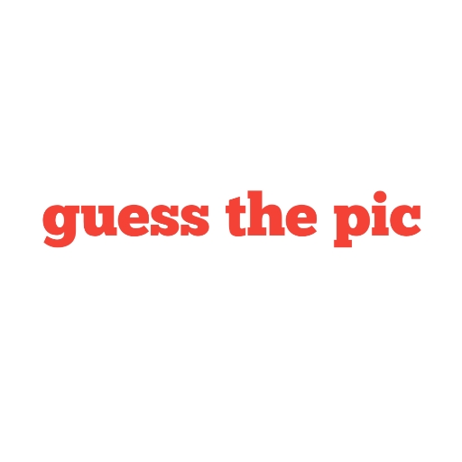 guess the pic icon