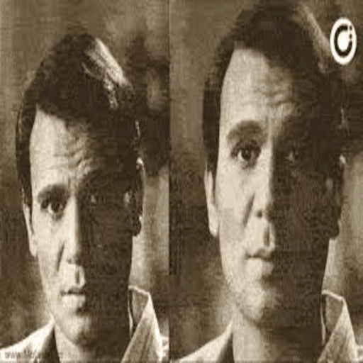 move pictures 2021 icon