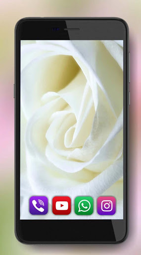 Roses Amazing Live Wallpaper screenshot 8