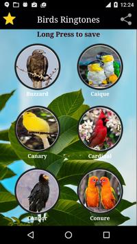 Birds Sounds screenshot 3