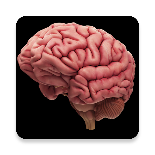 Memory Stimulator icon