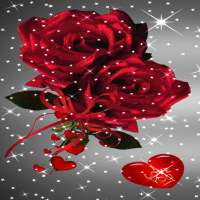 Red Rose Bouquet LWP on 9Apps