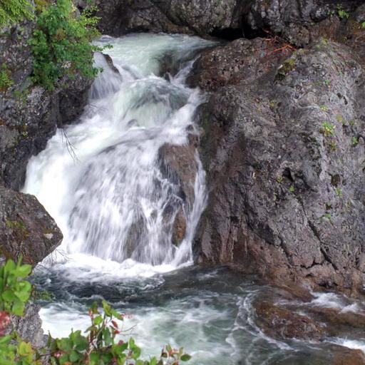 Belle cascade de la forêt icon