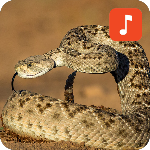 Rattlesnake Sound Effects icon