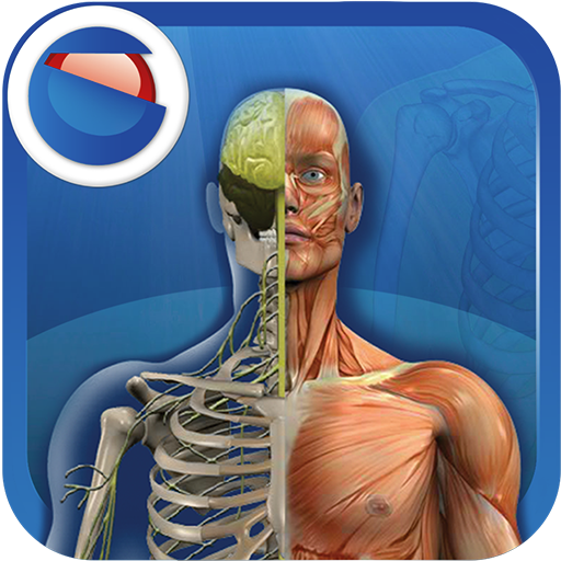 Il Corpo Umano icon