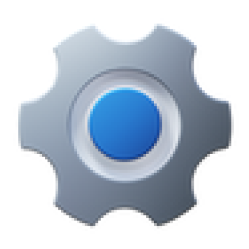 Developer Options icon