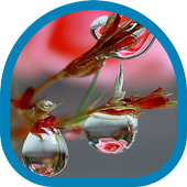 Water Drops and Dew icon