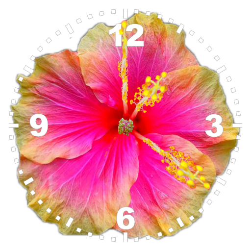 Hibiscus Clock icon