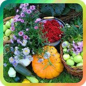 Дача и огород иконка