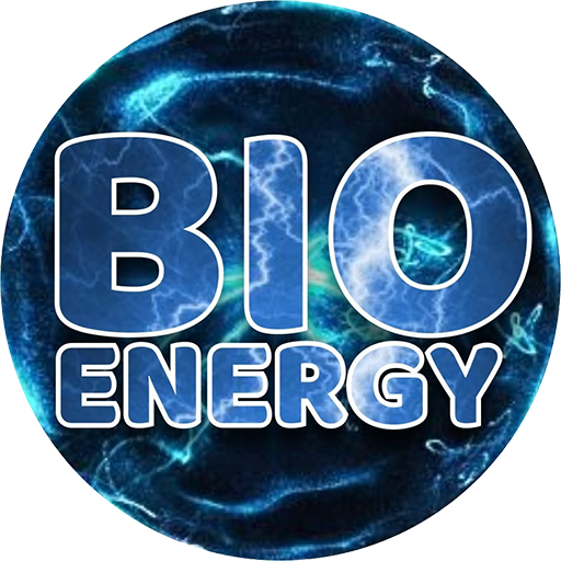 Bio Magnetic Mattress icon