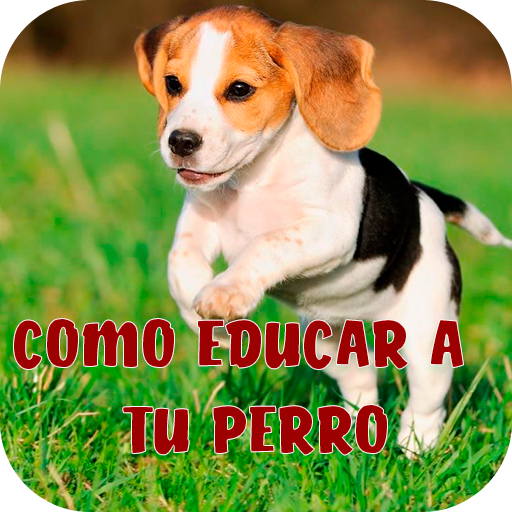 Como Adiestrar a un Perro - Educar a un Perro icon