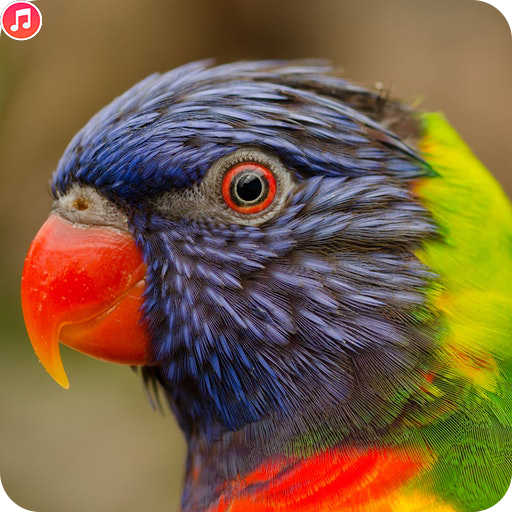 Wildlife Animal Sounds icon