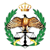 DVLD- ترخيص السواقين والمركبات icon