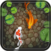 Koi Fish 3D Live Wallpaper 2019 icon