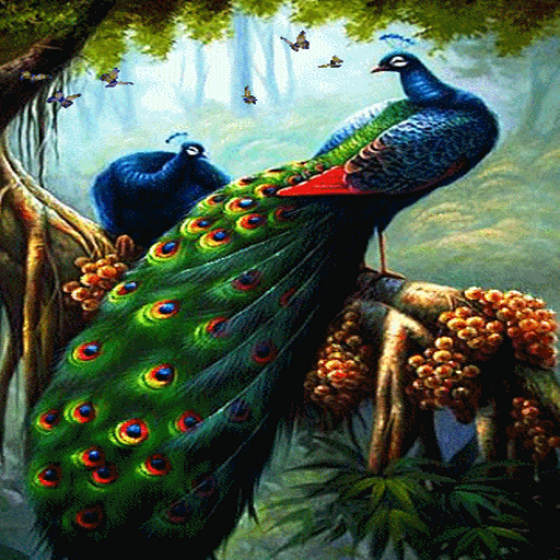 Peacock Butterfly Live Wallpaper أيقونة