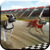 Wild Greyhound Dog Crazy Race 3D Simulation 2019 icon