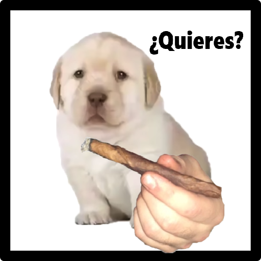 ¿Quieres? : The Game icon