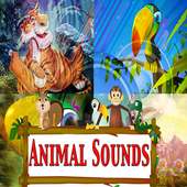 Animal Sound