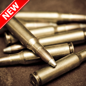 Weapon Wallpapers icon