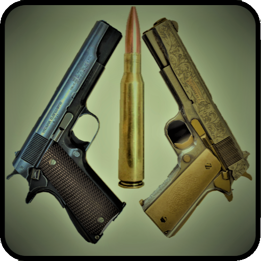 Weapons PRO (All Weapons) icon
