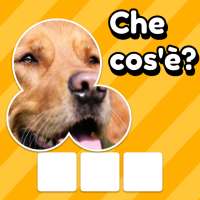 Zoom Quiz: Gioco D'immagini