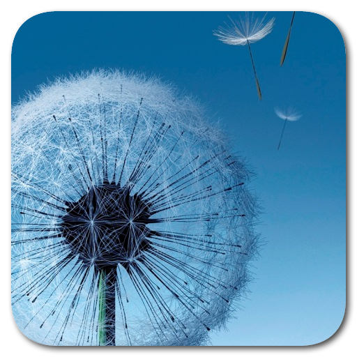 ikon S3 Ripple Locker