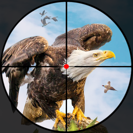 Birds Hunter: Gun Shoot Games icon