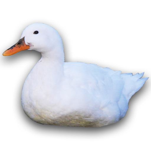 Poultry Temperature Manager icon