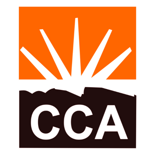 Chanakya Career Academy icon