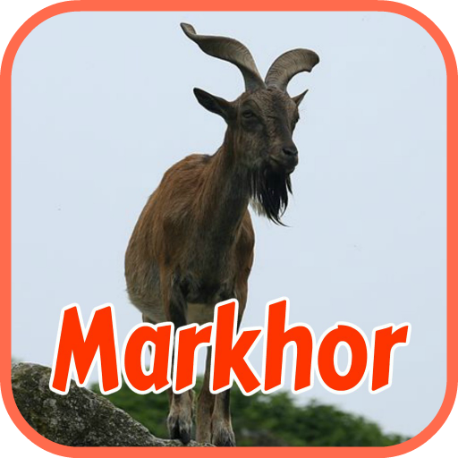 Markhor Wallpapers and Conservation Information icon