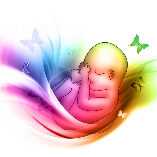 First Time Pregnancy icon