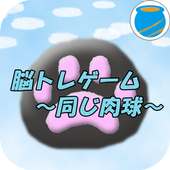 Brain Training -Same Pad-