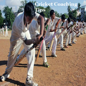 Cricket Coaching Tips icon