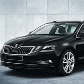 Real Skoda Driving Simulator 2019 icon
