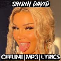 Shirin David Musik : Shirin David Ohne Internet